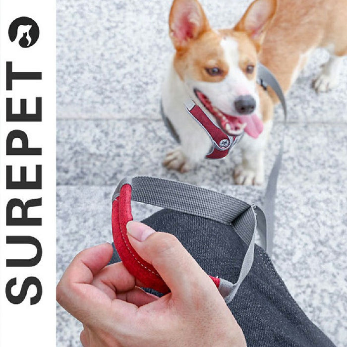 Adjustable dog harness in gray and red material, shown on a Corgi, with a hand holding the strap.