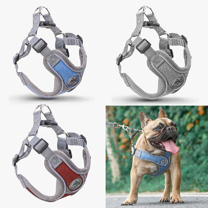 Three adjustable dog harnesses in gray, blue, and red, with a French Bulldog wearing a blue one outdoors.