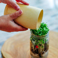 Bamboo Natural Cup