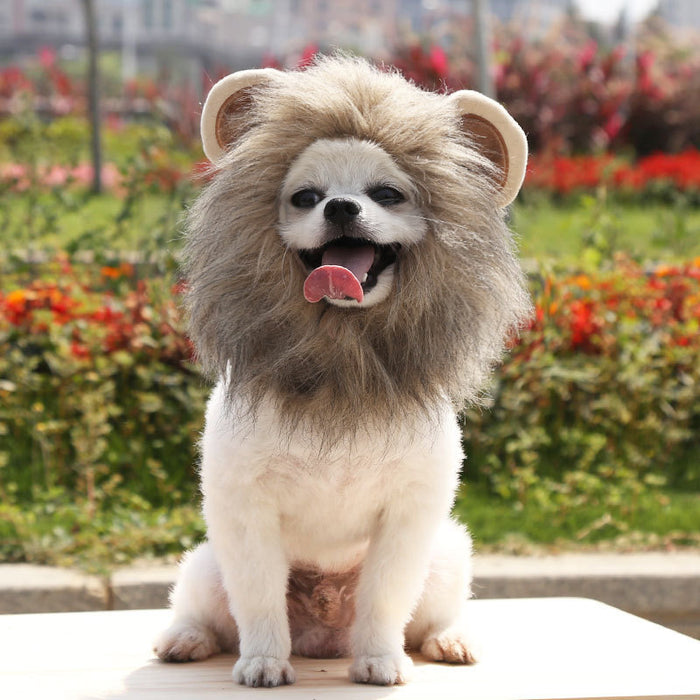 A small dog wearing a fluffy brown lion mane costume sits outside, smiling with its tongue out, amidst flowers.