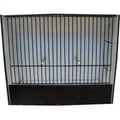 Cage exposition indigène noir 15 cm en PVC (sous réservation) - BIRD SHOP ORNITHOLOGIE LUXEMBOURG S.A.R.L-S