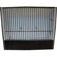 Cage exposition indigène noir 15 cm en PVC (sous réservation) - BIRD SHOP ORNITHOLOGIE LUXEMBOURG S.A.R.L-S