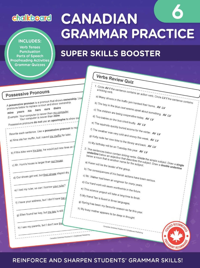 Canadian Grammar Practice 6 Ebook