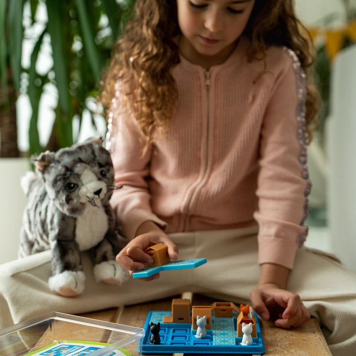 Cats & Boxes by Smart Games