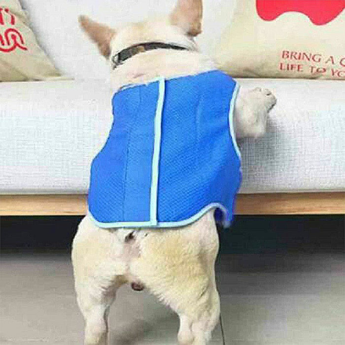 A small dog wearing a blue cooling vest with a mesh texture, seen from behind, stands next to a couch.