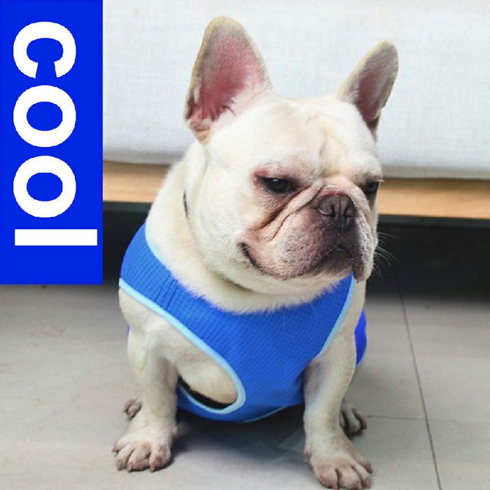 A beige French Bulldog wears a bright blue cooling vest with light blue trim, sitting on a tiled floor.