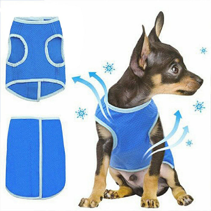 Blue cooling vest for dogs displayed on a sitting dog, featuring a breathable mesh material and contrasting trim.