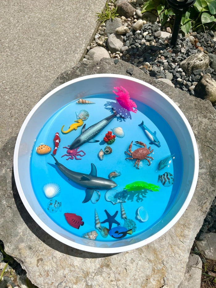 Coral Reef Toob