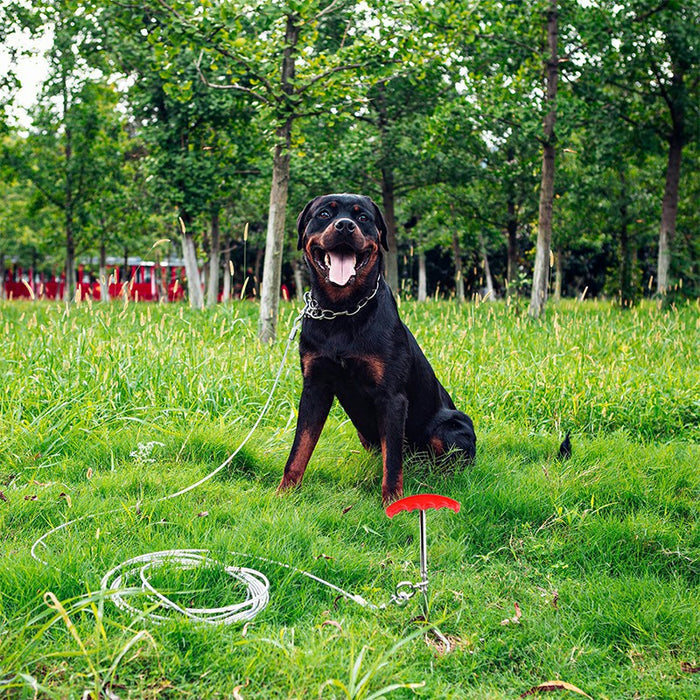 A happy black Rottweiler sits on grass beside a silver dog tie-out cable connected to a red stake.