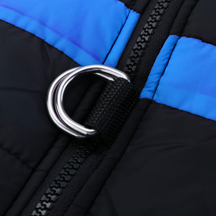 Close-up of a black puffer jacket featuring blue stripes and a silver zipper pull.