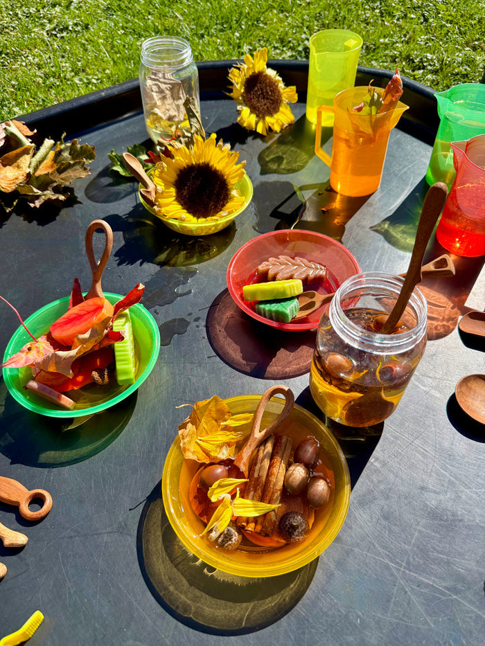 Enchanted Wooden Spoons 10pk