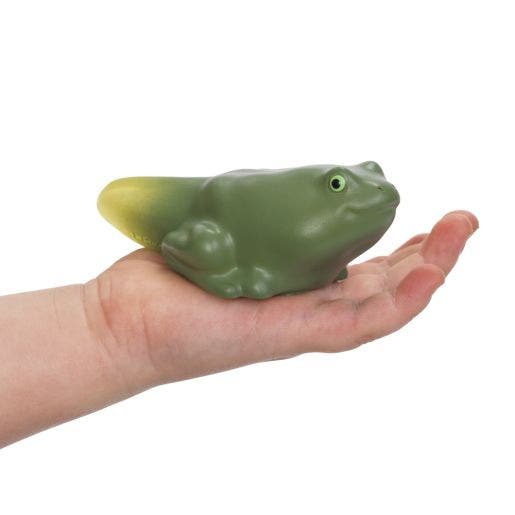 Environments My First Soft Life Cycle Frog