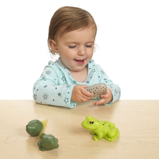 Environments My First Soft Life Cycle Frog