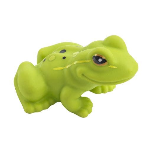 Environments My First Soft Life Cycle Frog