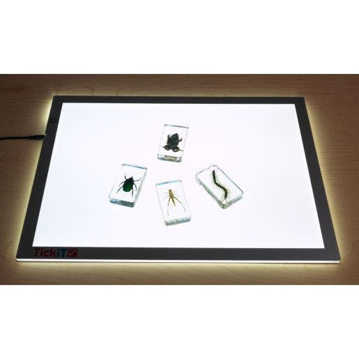 Excellerations Acrylic Specimens Garden Set Of 4