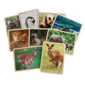 Excellerations Animal Families Around World Puzzles & Poster