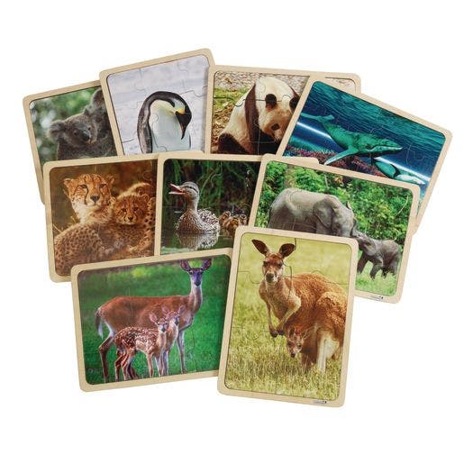 Excellerations Animal Families Around World Puzzles & Poster