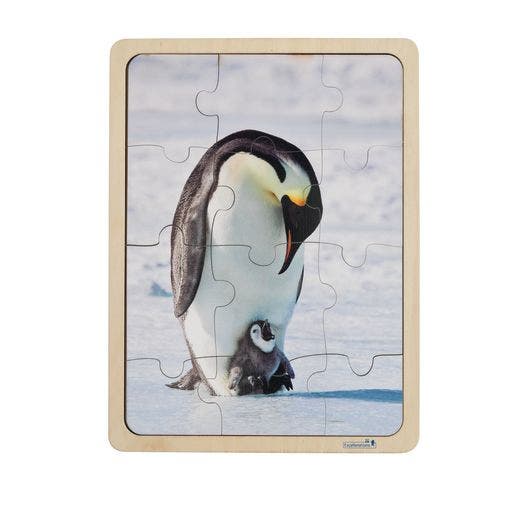 Excellerations Animal Families Around World Puzzles & Poster