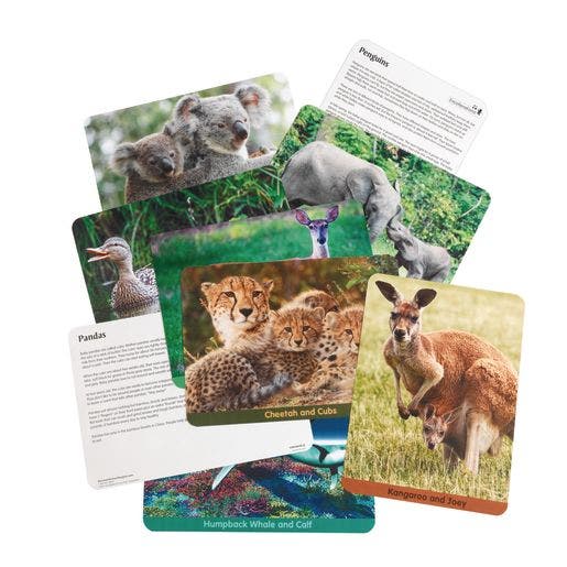 Excellerations Animal Families Around World Puzzles & Poster