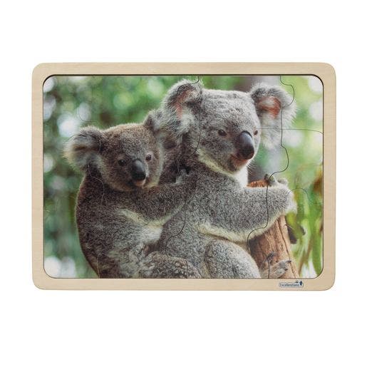 Excellerations Animal Families Around World Puzzles & Poster