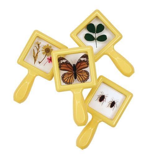 Excellerations Toddler Specimen Viewers 4 pc Set 1