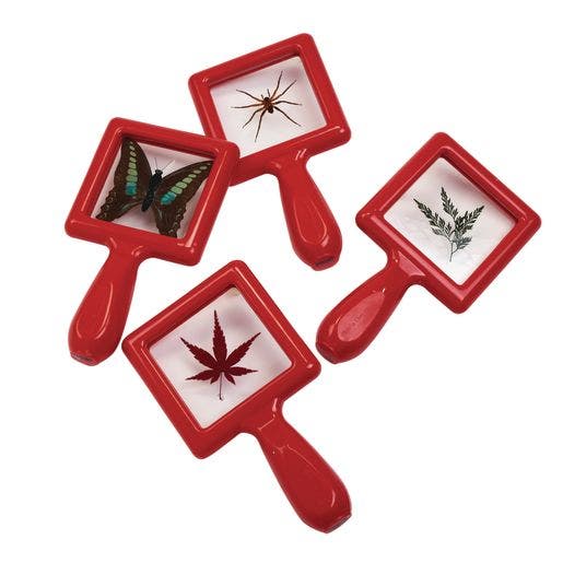 Excellerations Toddler Specimen Viewers 4 pc Set 2