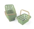 Green Garden Basket Set 5 pc