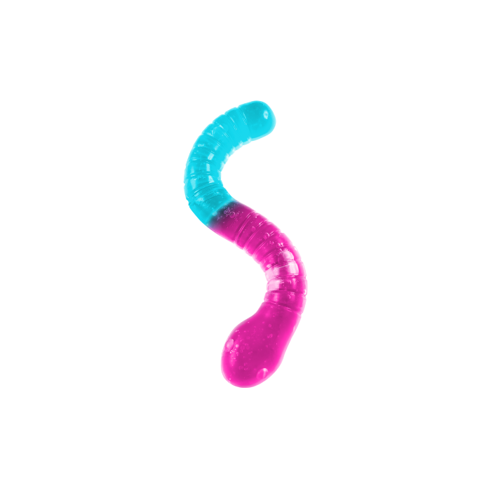 Gummy Squishi Wormz