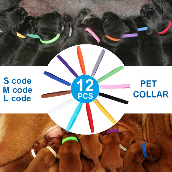 Colorful ID collars for puppies and kittens displayed with 12 varying shades laid out alongside sleeping animals.