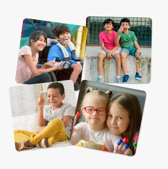 Inclusion Puzzle Set of 4