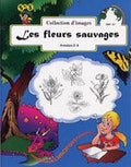 Les Fleurs Sauvages: Picture Collection Ebook