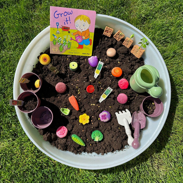 Life Cycle of a Green Bean Plant