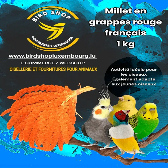 Millet en grappes rouge français 1 KG - BIRD SHOP ORNITHOLOGIE LUXEMBOURG S.A.R.L-S