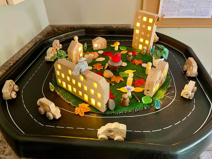 Natural Wooden Vehicles Set 12 pcs