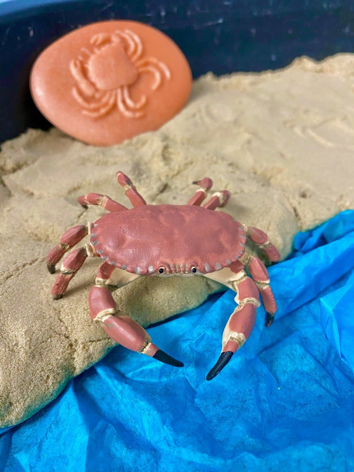 Papo Ocean Animals Set 1 4 figures