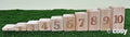 Proportional Number Blocks 1-10 11pk