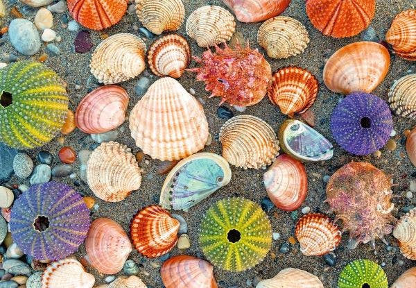 Ravensburger Puzzle Moments By the Seashore 300 pc Puzzle