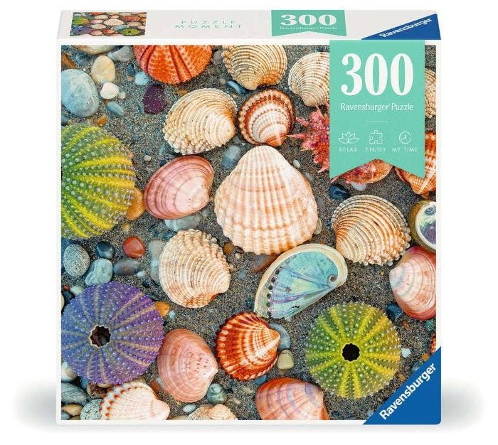 Ravensburger Puzzle Moments By the Seashore 300 pc Puzzle