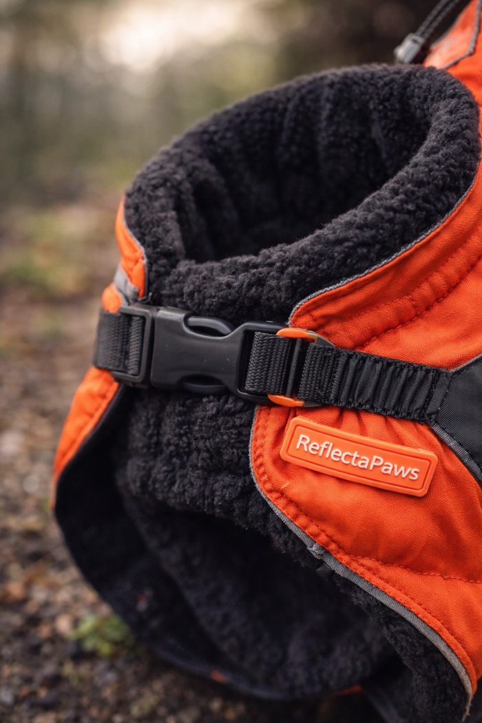 ReflectaPaws Adjustable Dog Jacket — main