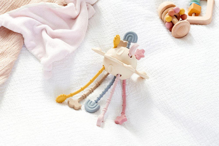 Silisoft Zip Pull Toy Earth