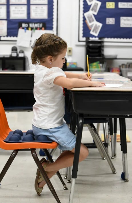 SitSmart Sensory Chair Pad