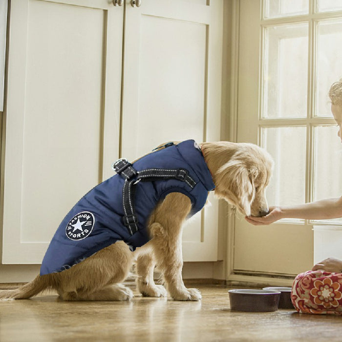 A golden retriever wearing a blue padded dog coat sits near a person offering food, showcasing comfort and warmth.