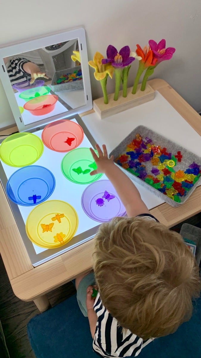 Translucent Colour Bugs