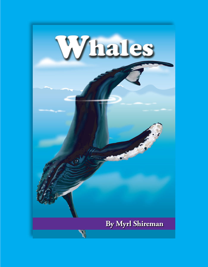 Whales Ebook