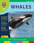 Whales Ebook