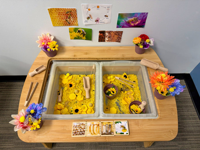 Wooden Lifecycle Tiles
