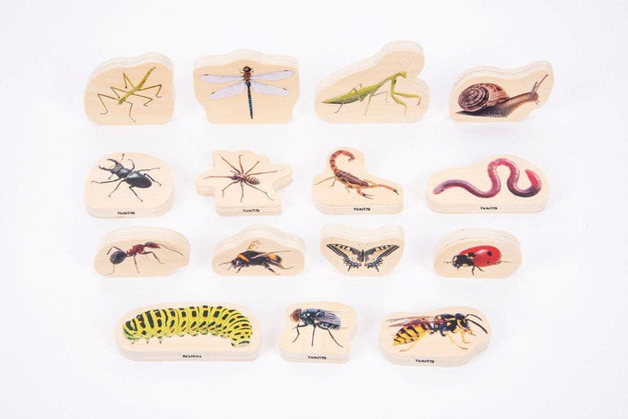 Wooden Minibeast Blocks