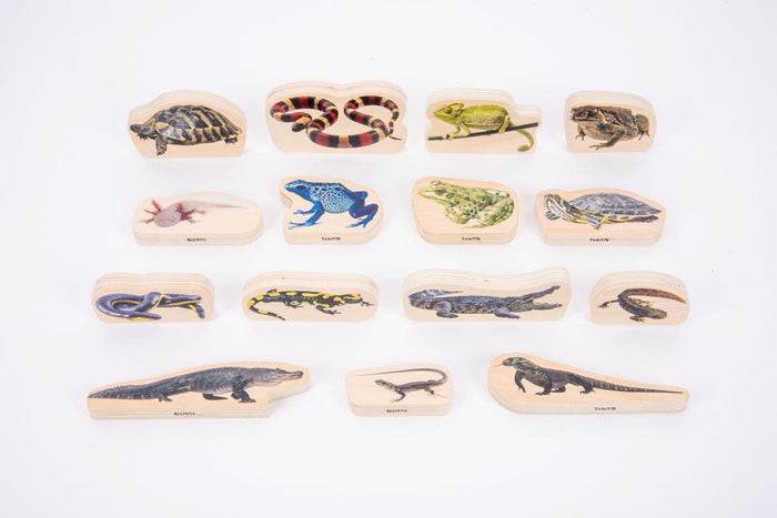Wooden Reptile And Amphibian Blocks