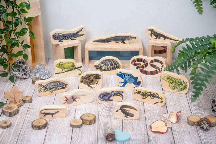 Wooden Reptile And Amphibian Blocks