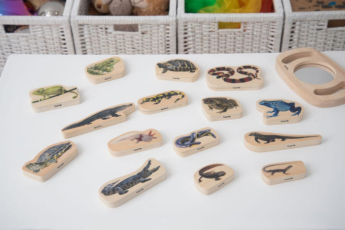 Wooden Reptile And Amphibian Blocks